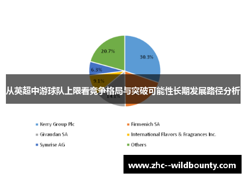 从英超中游球队上限看竞争格局与突破可能性长期发展路径分析 从英超中游球队上限看竞争格局与突破可能性长期发展路径分析